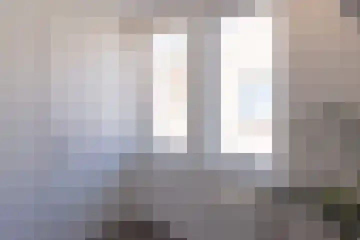 Molendijk 6 Nieuwe-Tonge thumbnail 27