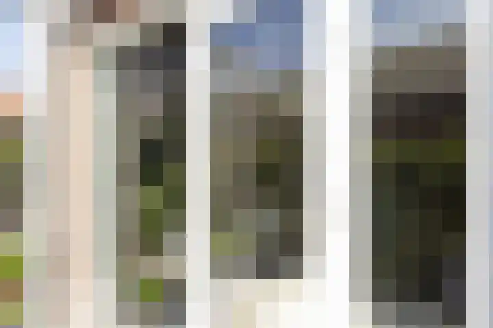Molendijk 6 Nieuwe-Tonge thumbnail 31