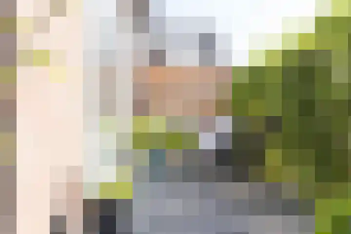 Molendijk 6 Nieuwe-Tonge thumbnail 32