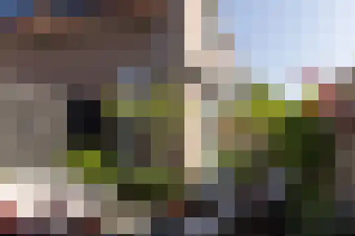Molendijk 6 Nieuwe-Tonge thumbnail 33