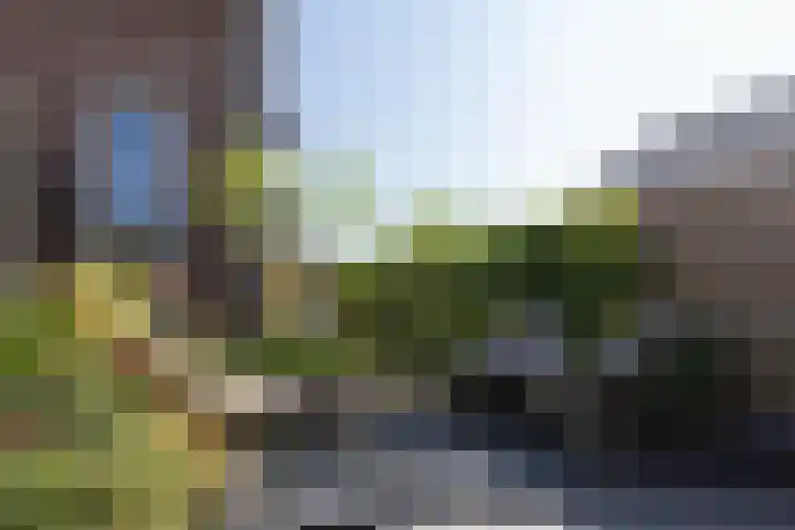Molendijk 6 Nieuwe-Tonge thumbnail 34