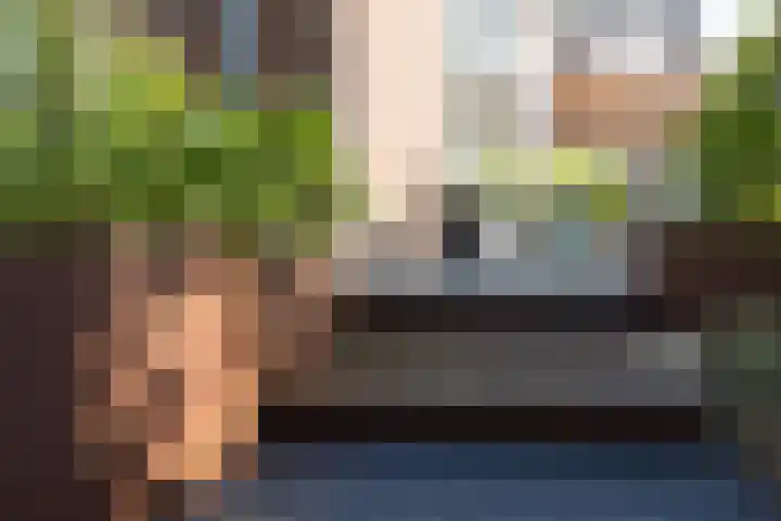 Molendijk 6 Nieuwe-Tonge thumbnail 35