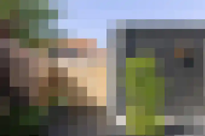 Molendijk 6 Nieuwe-Tonge thumbnail 36