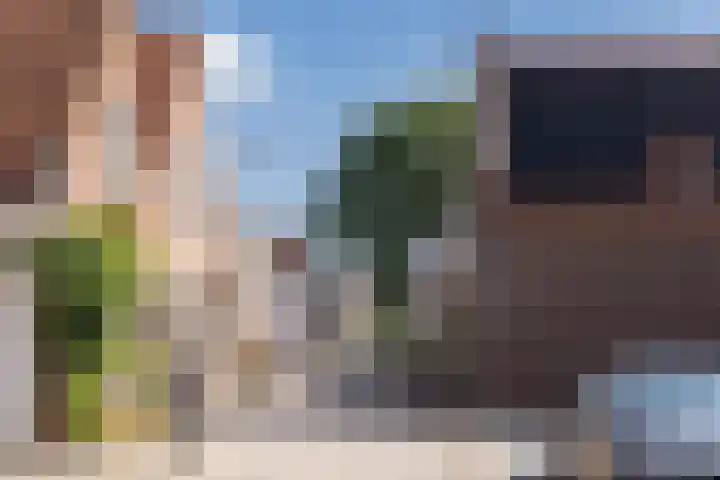 Molendijk 6 Nieuwe-Tonge thumbnail 39
