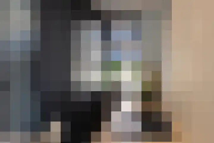 Molendijk 6 Nieuwe-Tonge thumbnail 4
