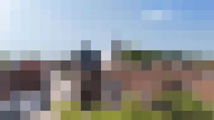 Molendijk 6 Nieuwe-Tonge thumbnail 40