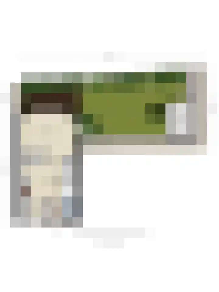 Molendijk 6 Nieuwe-Tonge thumbnail 47