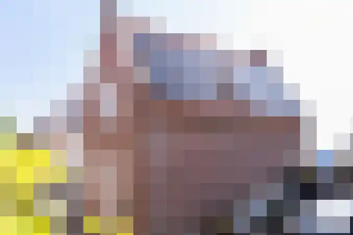 Molendijk 6 Nieuwe-Tonge thumbnail 49