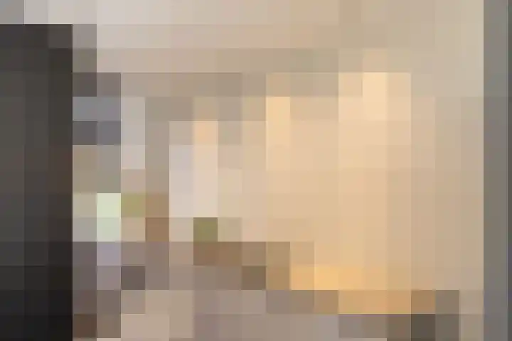 Molendijk 6 Nieuwe-Tonge thumbnail 5