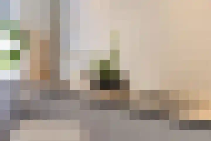 Molendijk 6 Nieuwe-Tonge thumbnail 6