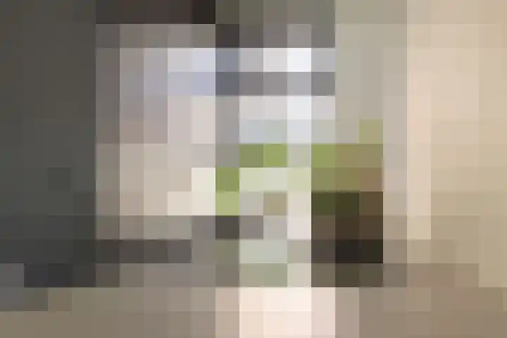 Molendijk 6 Nieuwe-Tonge thumbnail 7
