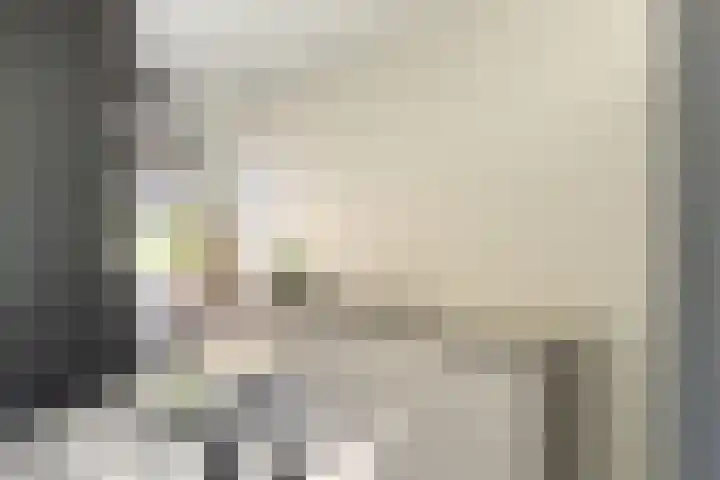 Molendijk 6 Nieuwe-Tonge thumbnail 9