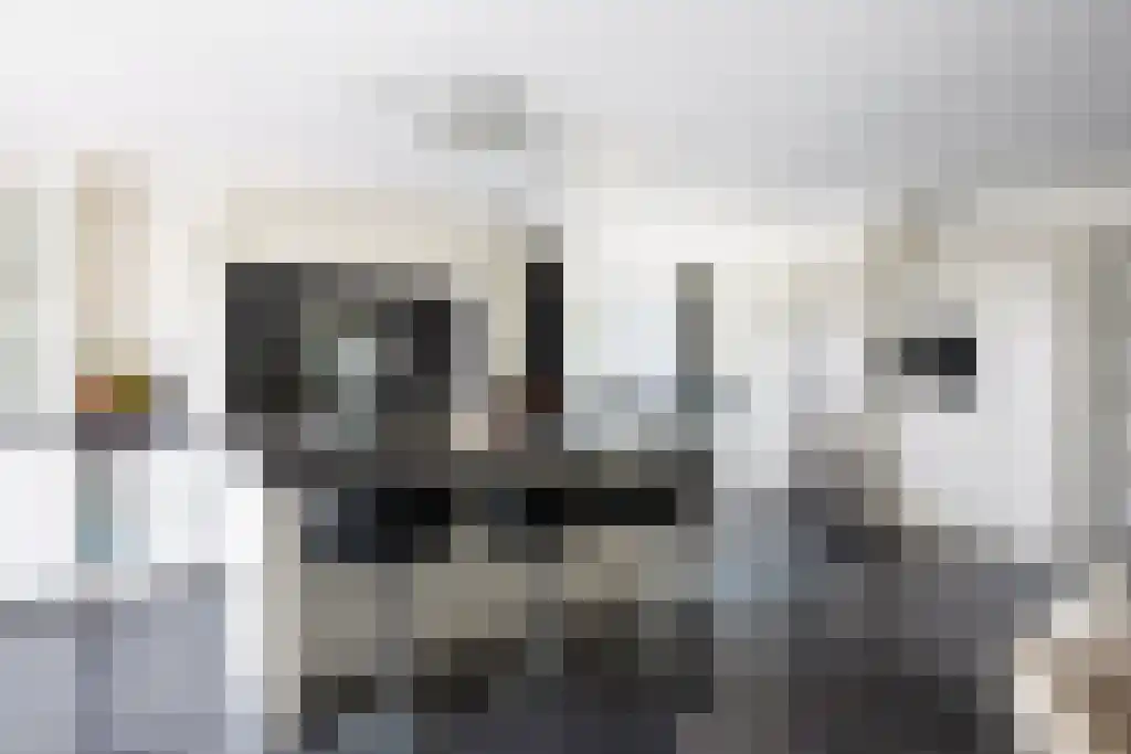 Molendijk 6 Oostvoorne thumbnail 10