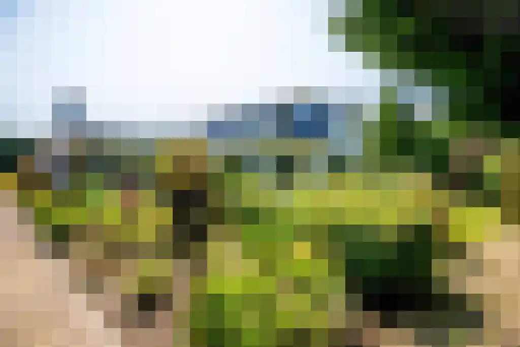 Molendijk 6 Oostvoorne thumbnail 39