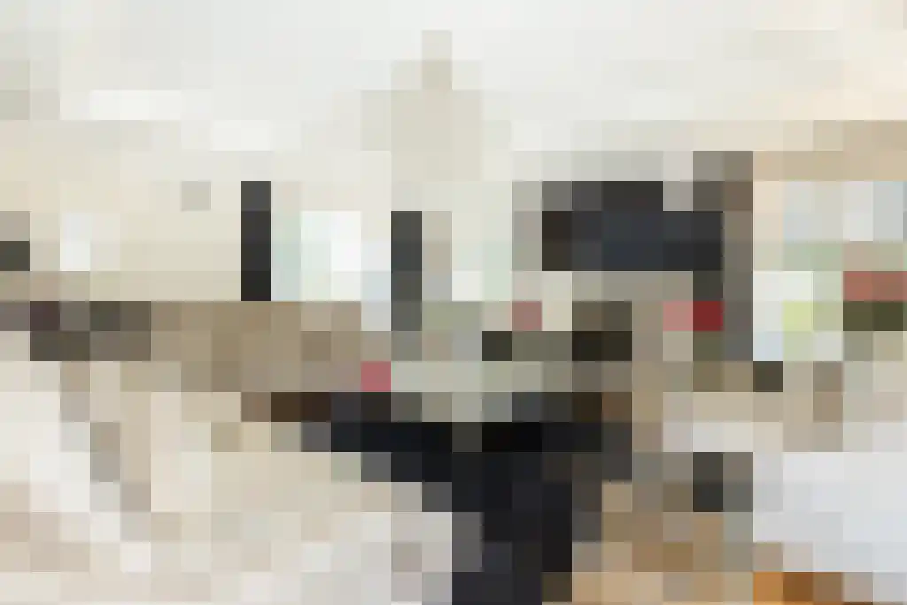 Molendijk 6 Oostvoorne thumbnail 5