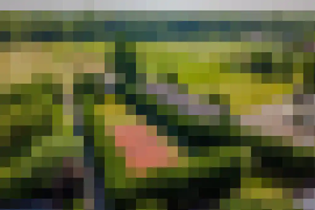 Molendijk 6 Oostvoorne thumbnail 61