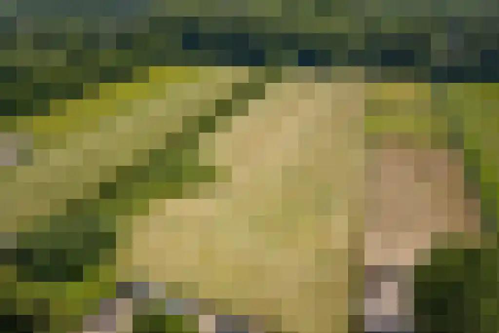Molendijk 6 Oostvoorne thumbnail 65