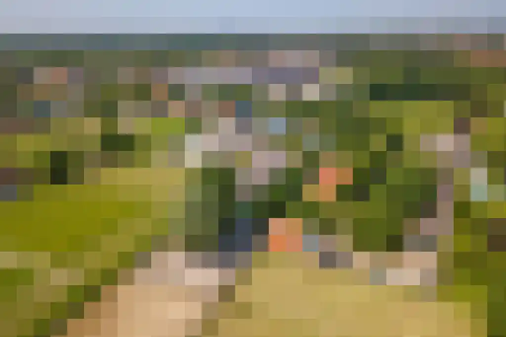 Molendijk 6 Oostvoorne thumbnail 66