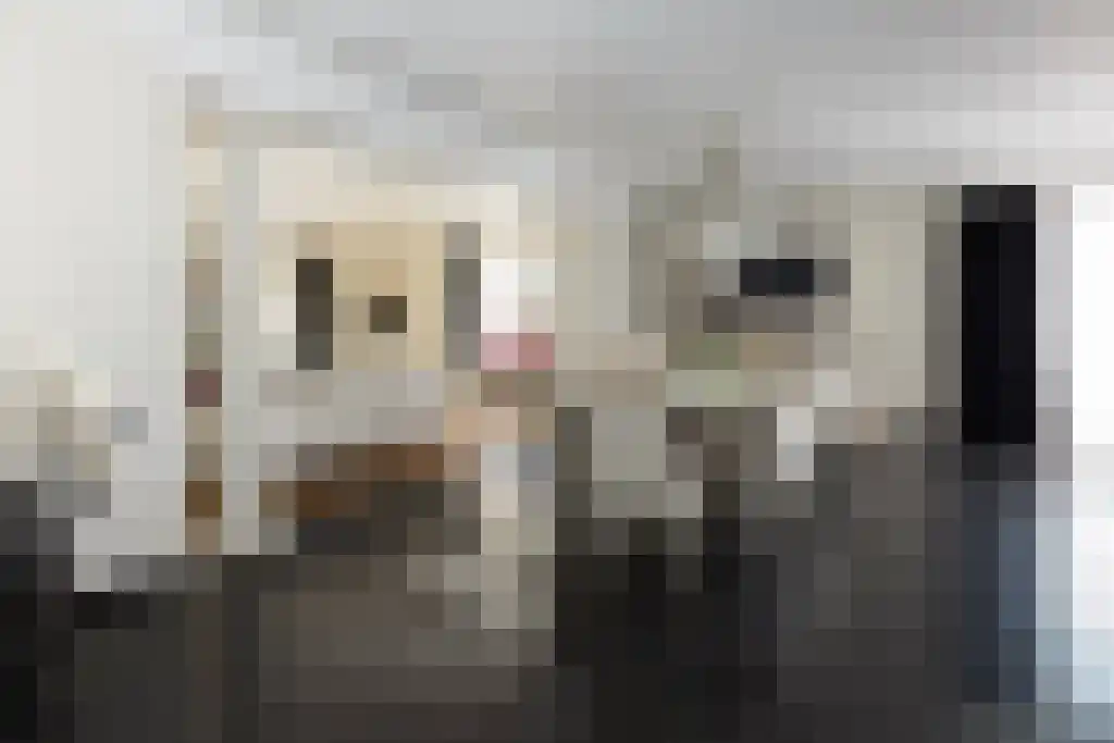 Molendijk 6 Oostvoorne thumbnail 8