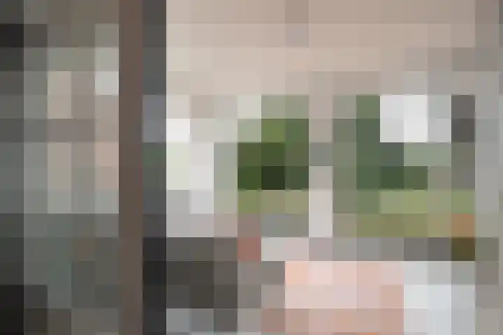 Molendijk 6 Stein thumbnail 10