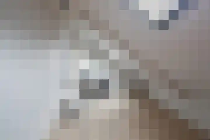 Molendijk 6 Stein thumbnail 22