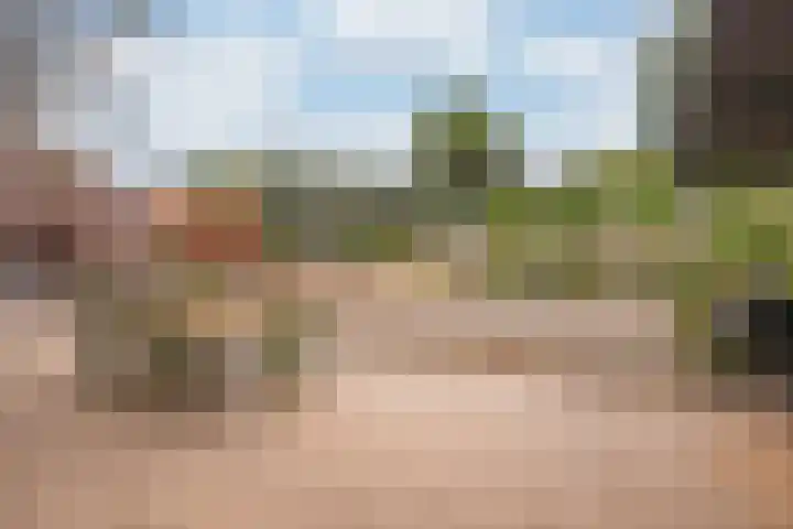 Molendijk 6 Stein thumbnail 30