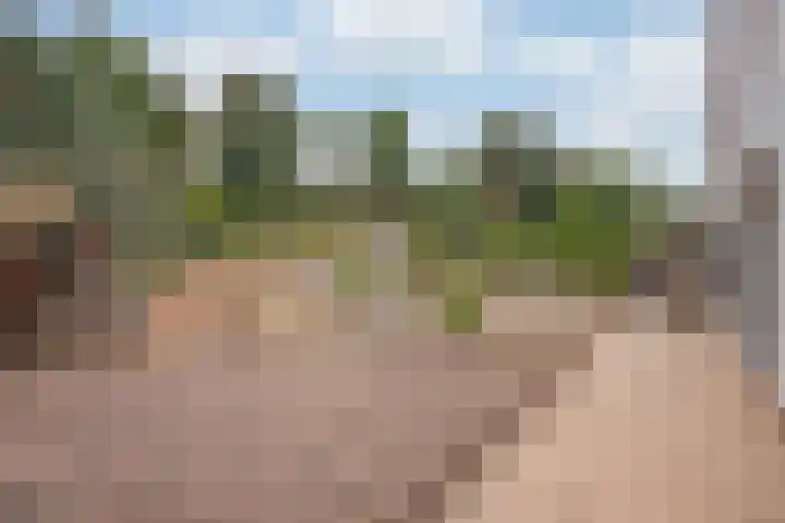 Molendijk 6 Stein thumbnail 31