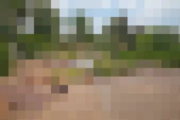 Molendijk 6 Stein thumbnail 32