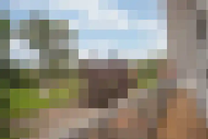 Molendijk 6 Stein thumbnail 34