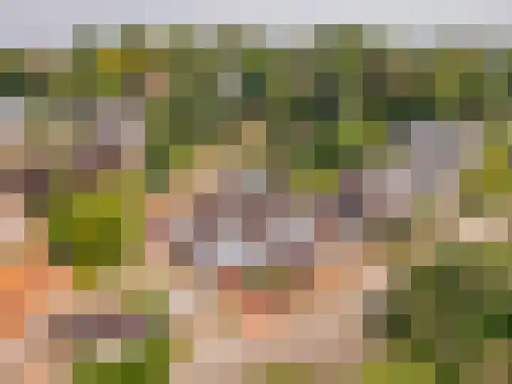 Molendijk 6 Stein thumbnail 36