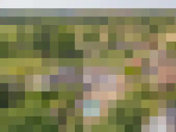 Molendijk 6 Stein thumbnail 37