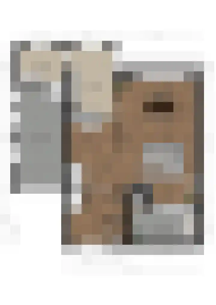 Molendijk 6 Stein thumbnail 38
