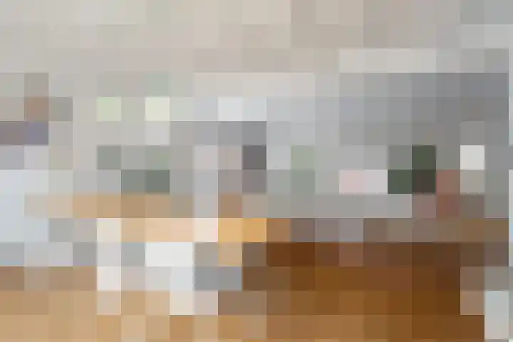 Molendijk 6 Stein thumbnail 8