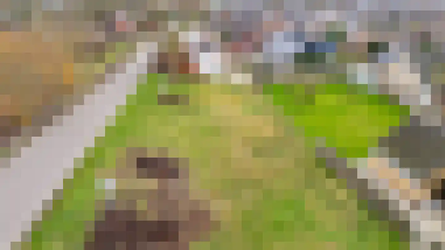 Molendijk 6 Zuidland thumbnail 10