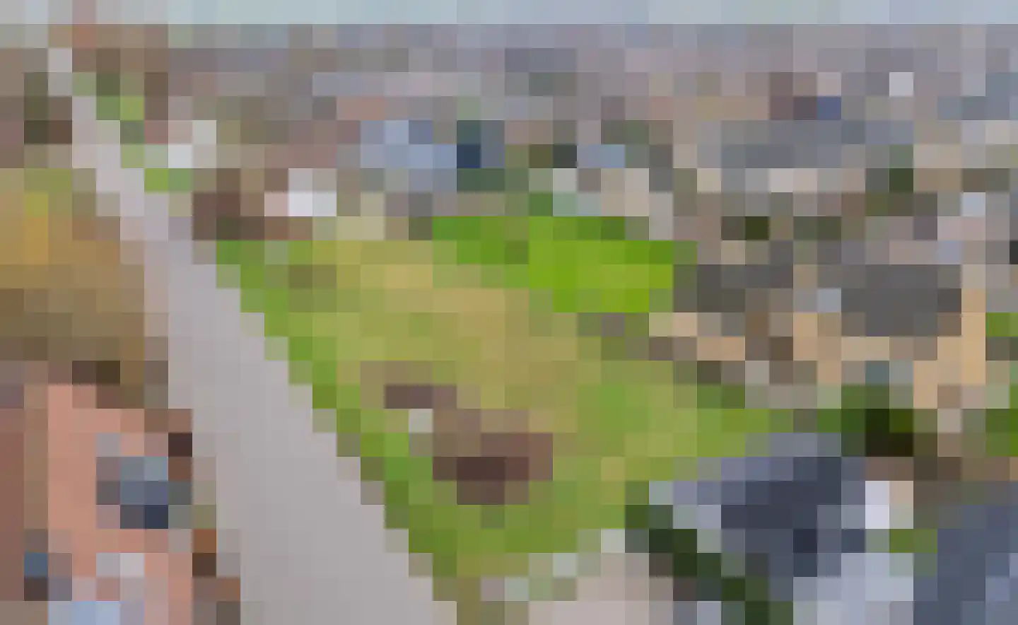 Molendijk 6 Zuidland thumbnail 11
