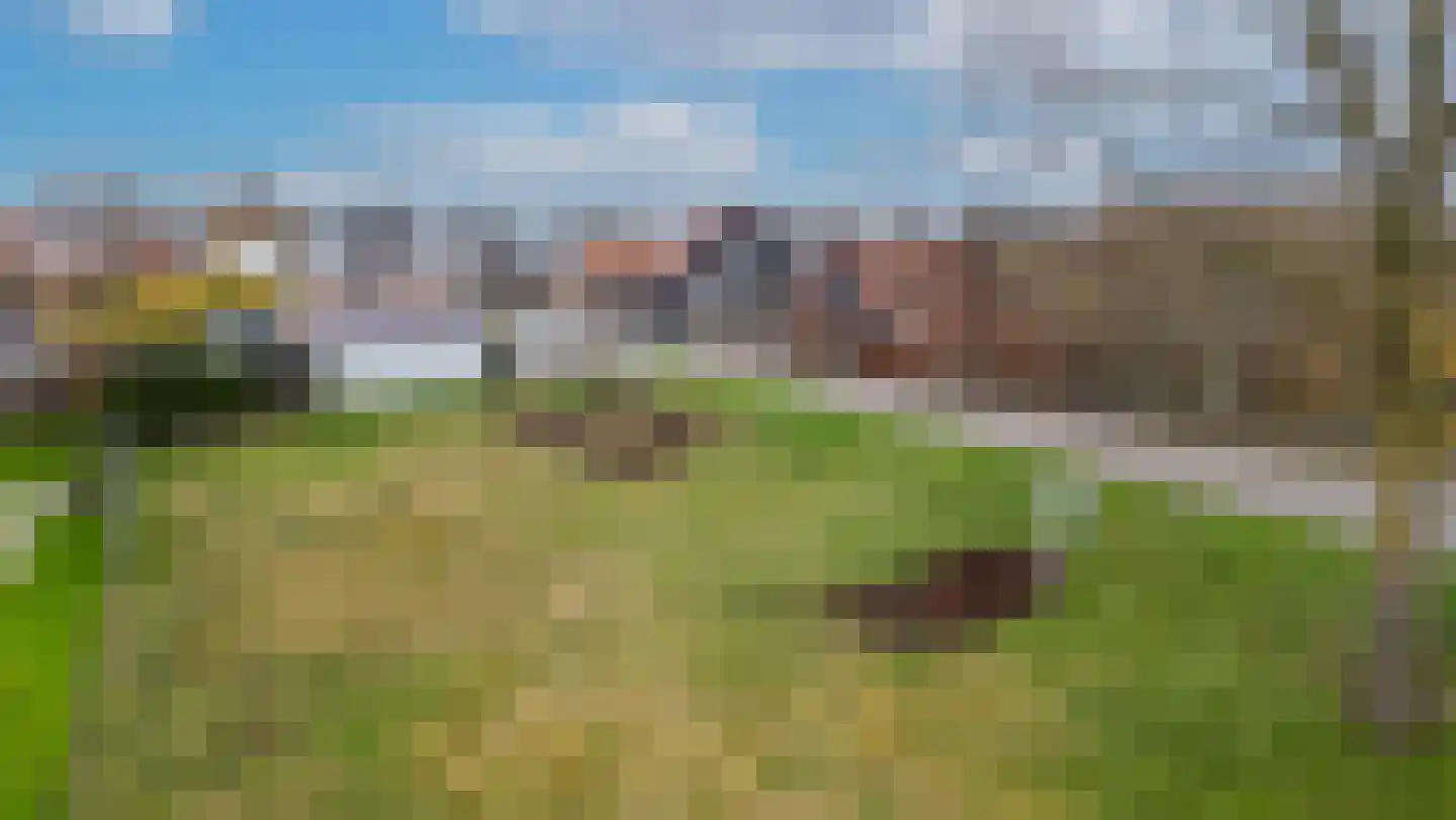 Molendijk 6 Zuidland thumbnail 12