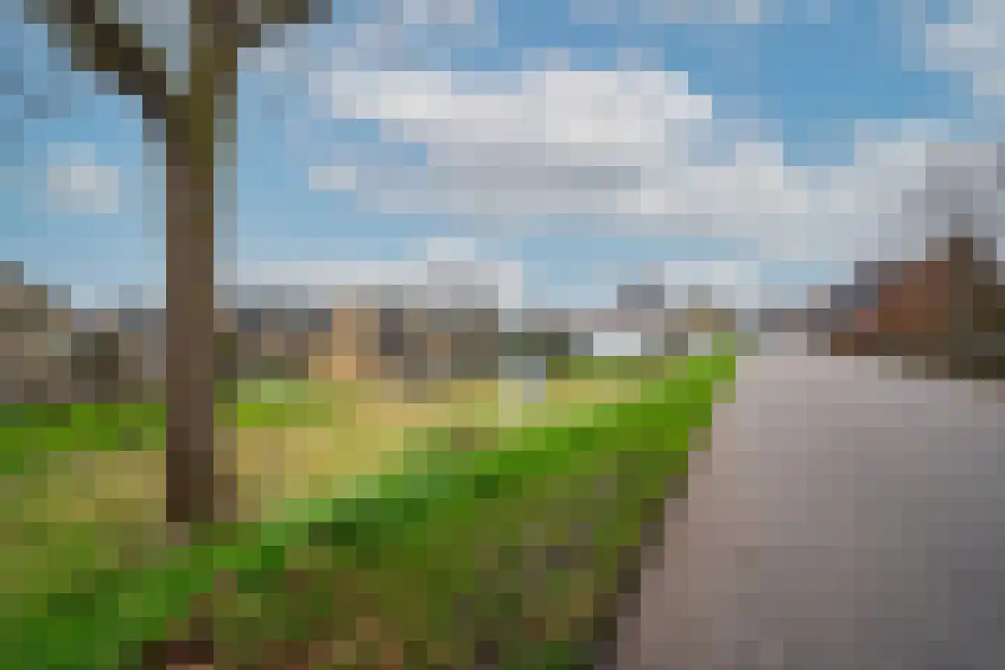 Molendijk 6 Zuidland thumbnail 8
