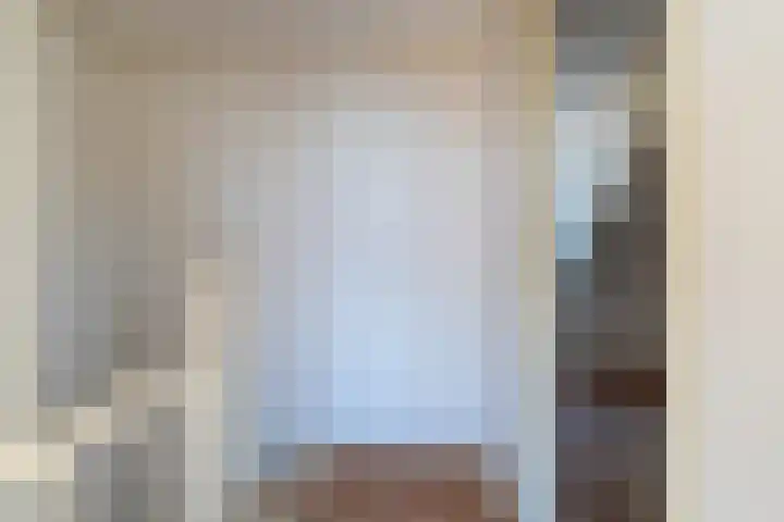 Molendijk 60 's Gravenmoer thumbnail 17