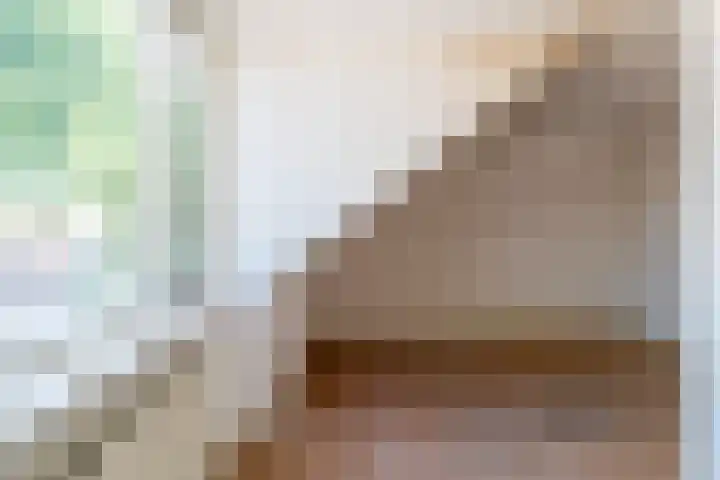 Molendijk 60 's Gravenmoer thumbnail 22