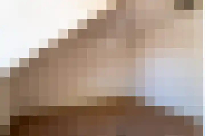 Molendijk 60 's Gravenmoer thumbnail 23