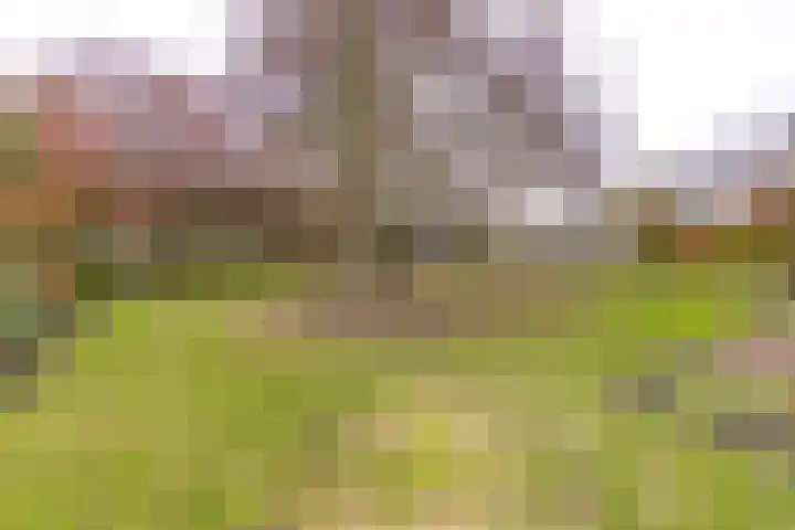 Molendijk 60 's Gravenmoer thumbnail 27