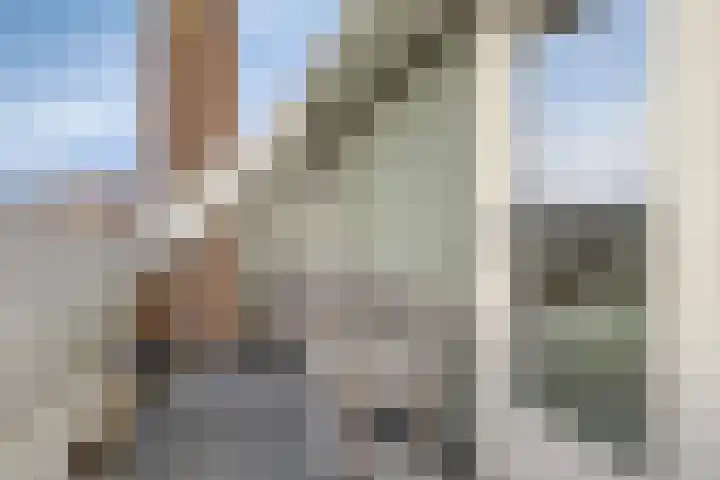 Molendijk 63 Oud-Beijerland thumbnail 32