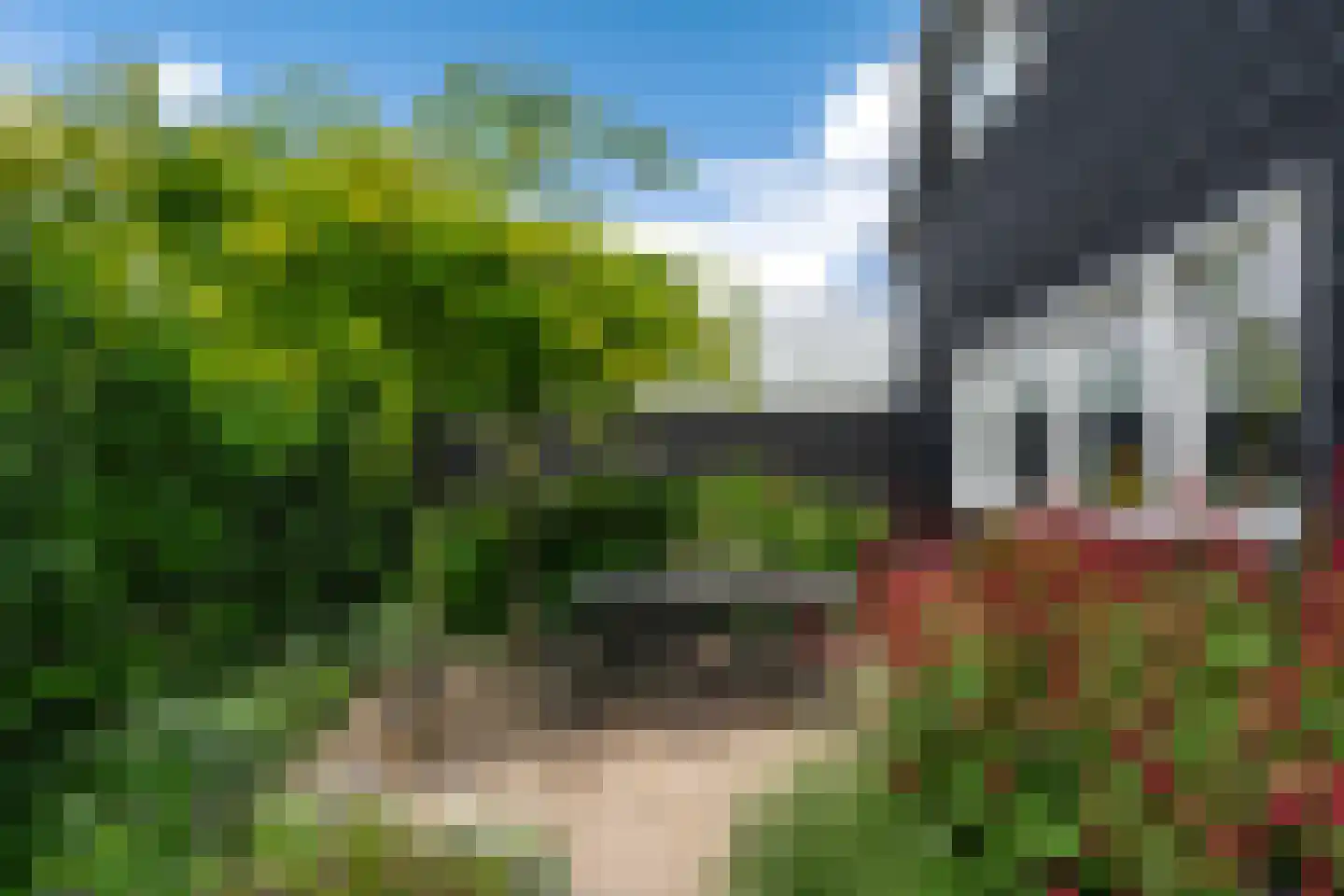 Molendijk 63 Rhoon thumbnail 26