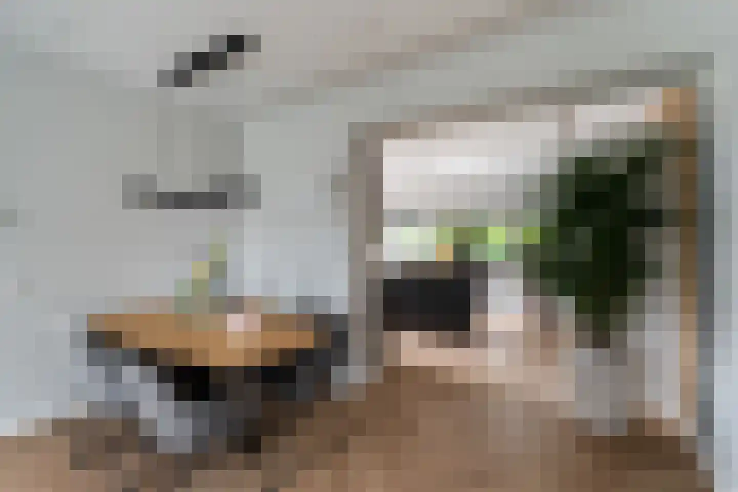 Molendijk 63 Rhoon thumbnail 9