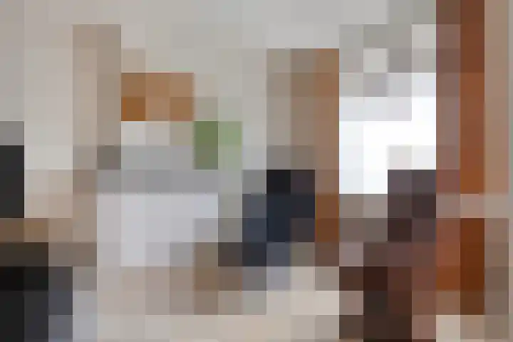 Molendijk 65 Dinteloord thumbnail 10