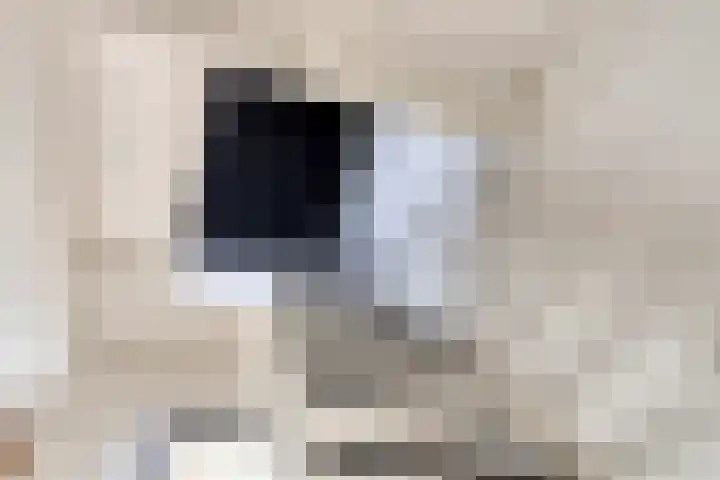 Molendijk 65 Dinteloord thumbnail 11