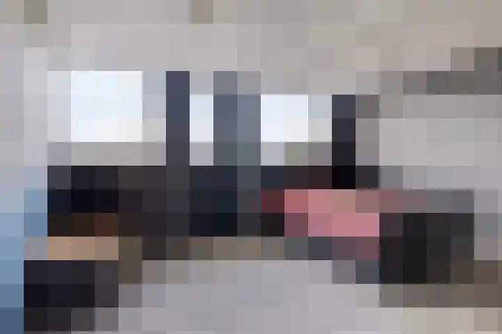 Molendijk 65 Dinteloord thumbnail 12