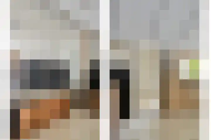 Molendijk 65 Dinteloord thumbnail 15