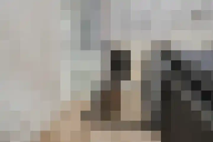 Molendijk 65 Dinteloord thumbnail 17