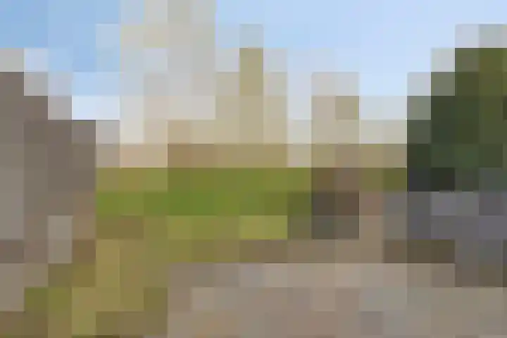 Molendijk 65 Dinteloord thumbnail 26